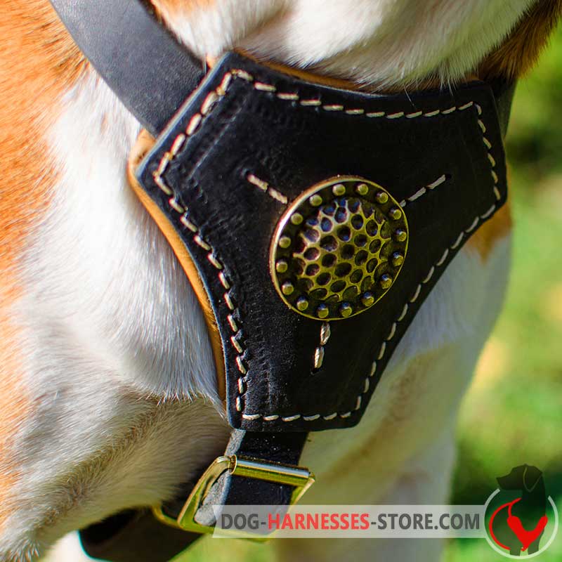 Padded Leather Dog Harness for Belgian Malinois Puppy