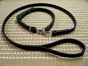 Police / hunting" dog leash and  collar (combo)