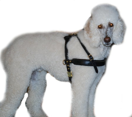 Pulling/Tracking Poodle Dog Harness