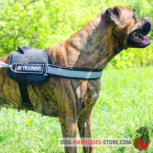 Reflective nylon Boxer harness