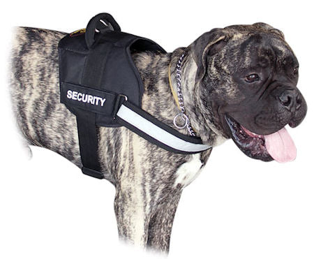 Reflective Nylon Bullmastiff Harness with ID Patches