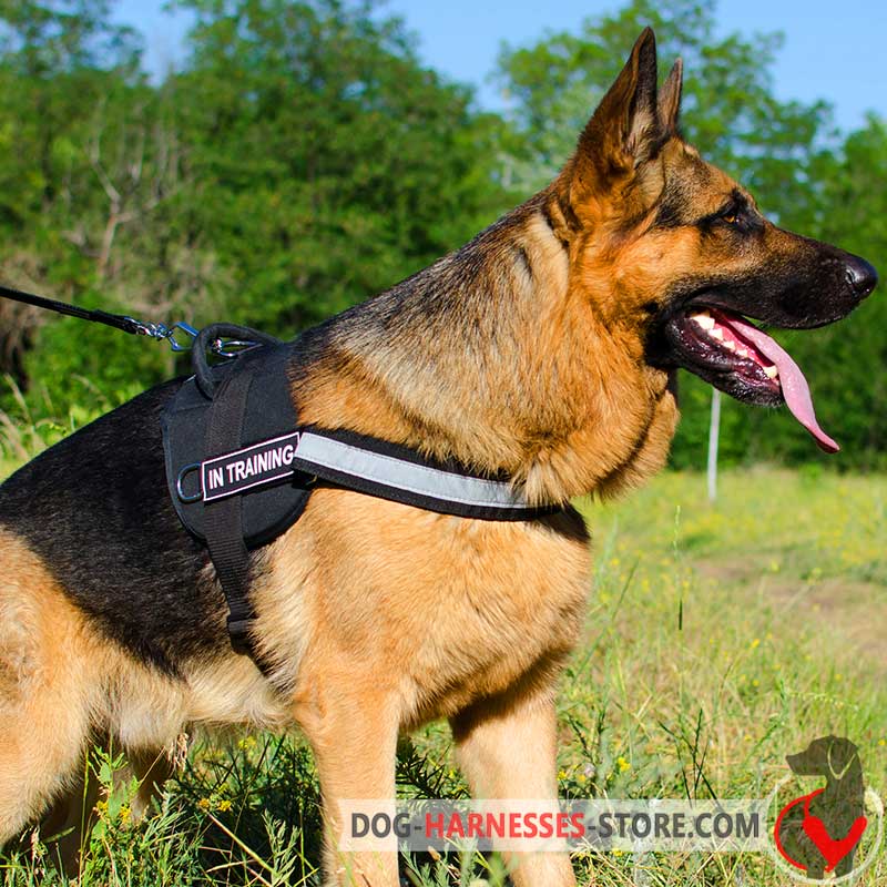 Reflective Nylon German Shepherd Harness with Handle