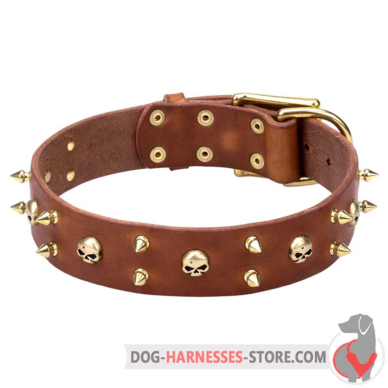 Rock Style Leather Dog Collar with Brass Spikes and Skulls