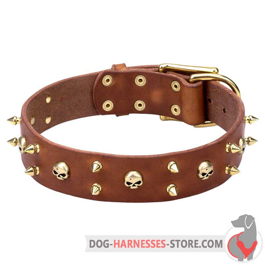 Rock Style Leather Dog Collar with Brass Spikes and Skulls