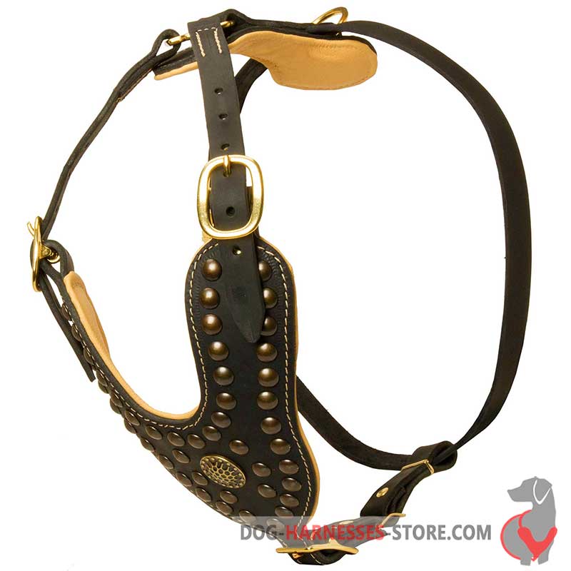 Royal Dog Harness  Decorated with Brass Studs