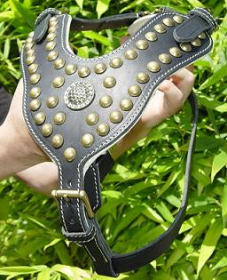 Royal Dog Harness - Exclusive Design Studded Leather Harness