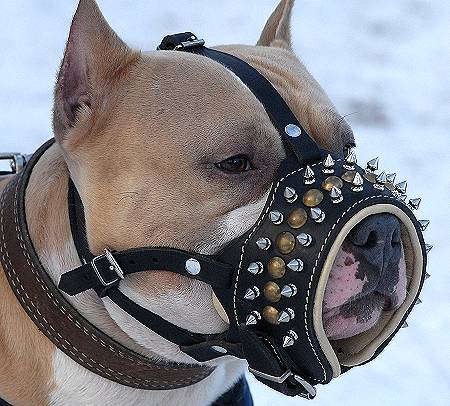 Royal Spiked Leather Dog Muzzle