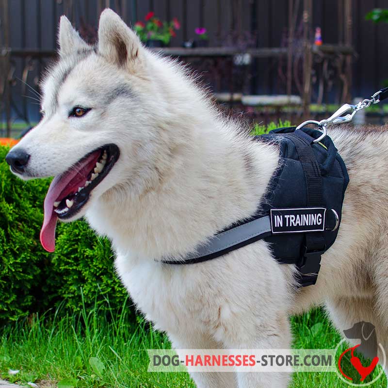 Siberian Husky Nylon Harness-Reflective Nylon Dog Harness