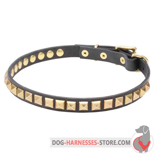 Slim Leather Dog Collar with Brass Square Studs