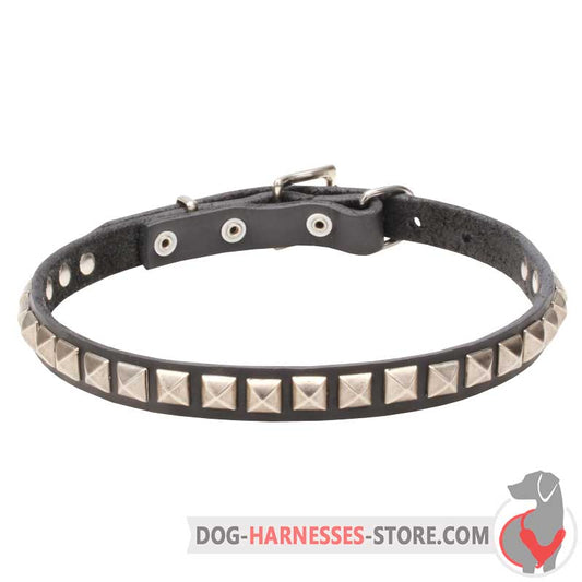 Slim Leather Dog Collar with Chrome Plated Square Studs