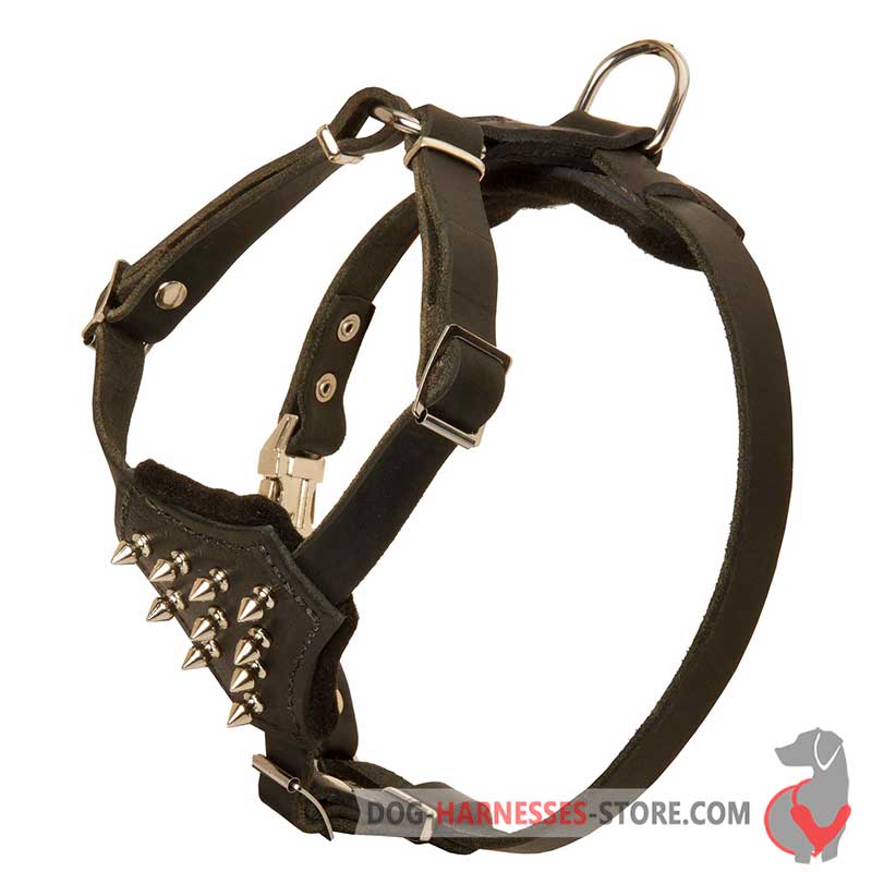 Small Dogs Leather Harness with Nickel Spikes