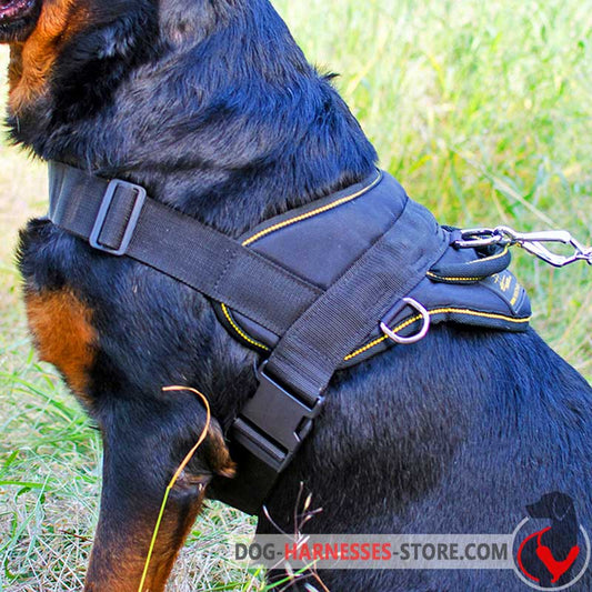 Spanish Mastiff Nylon Dog Harness for Pulling