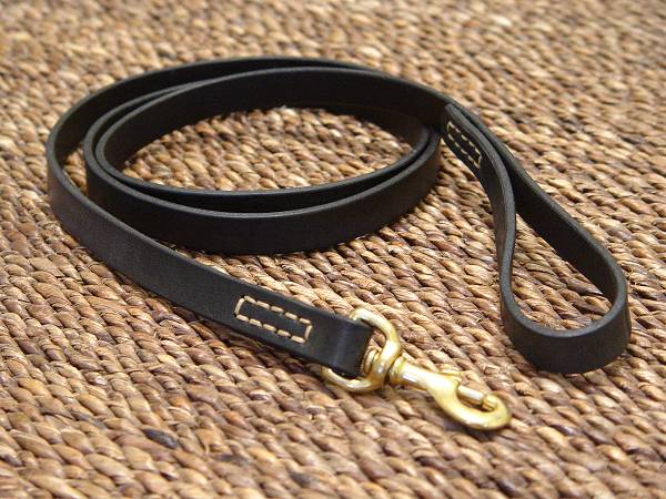 Stitched Leather Dog Leash