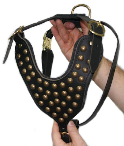 Studded Walking dog harness