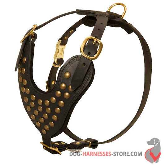 Studded Walking Dog Harness