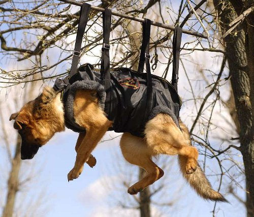 Tactical Insertion Akita Inu  Harness for Rescue Operations