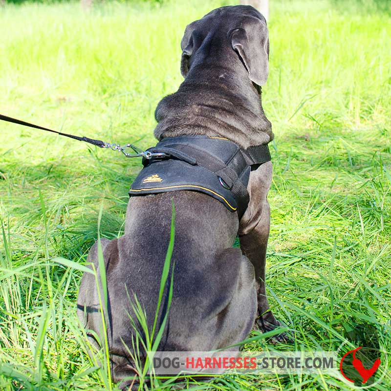 Tracking Nylon Japanese Mastiff  Harness