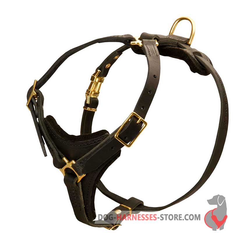 Tracking Walking Leather Dog Harness for all Breeds