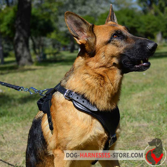 Walking/Training Padded German Shepherd Harness