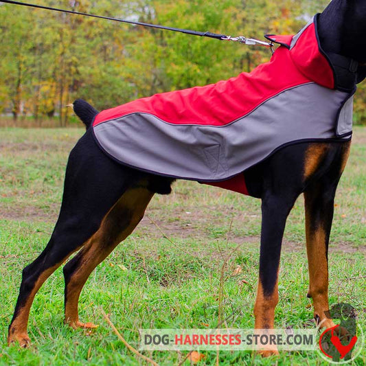 Warm Nylon Doberman Vest for Winter Walks