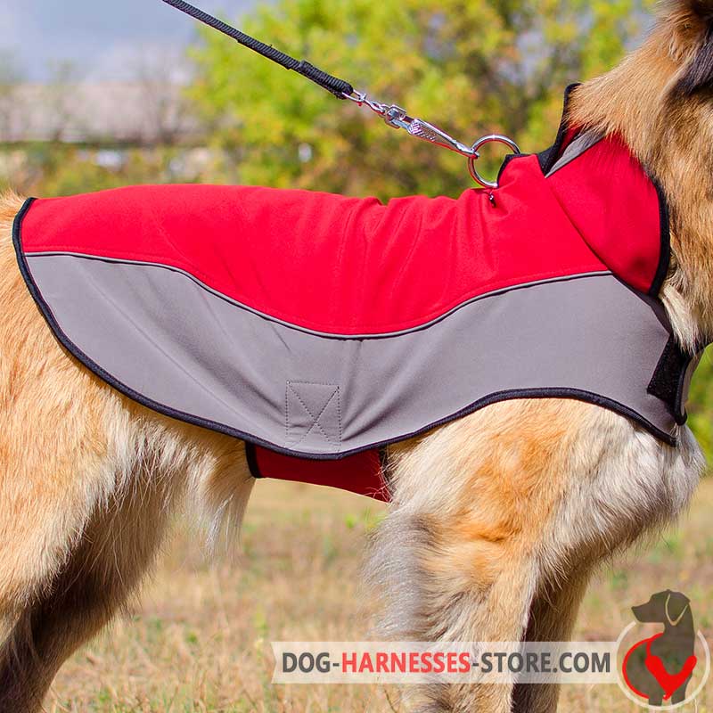 Warm Winter Collie Coat for Walking