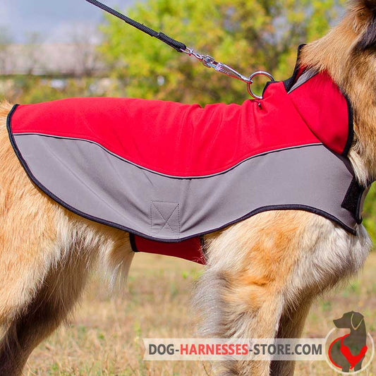 Warm Winter Collie Coat for Walking