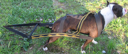 Weight Pulling Dog Harness