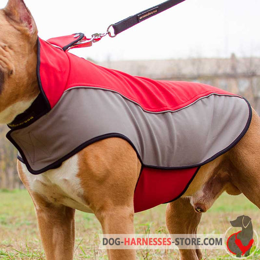 Winter Nylon Bullmastiff Coat for Walking