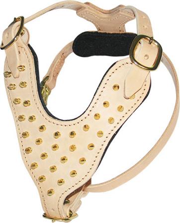 Y-Shape Leather Dog Harness with Brass Spikes