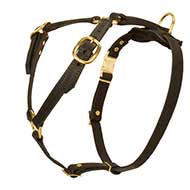 Buy Wholesale China Carex Dark Brown Full Grain Leather Dog Harness Luxury  Brass Buckle With Genuine Leather Handmade & Genuine Leather Dog Harness at  USD 110
