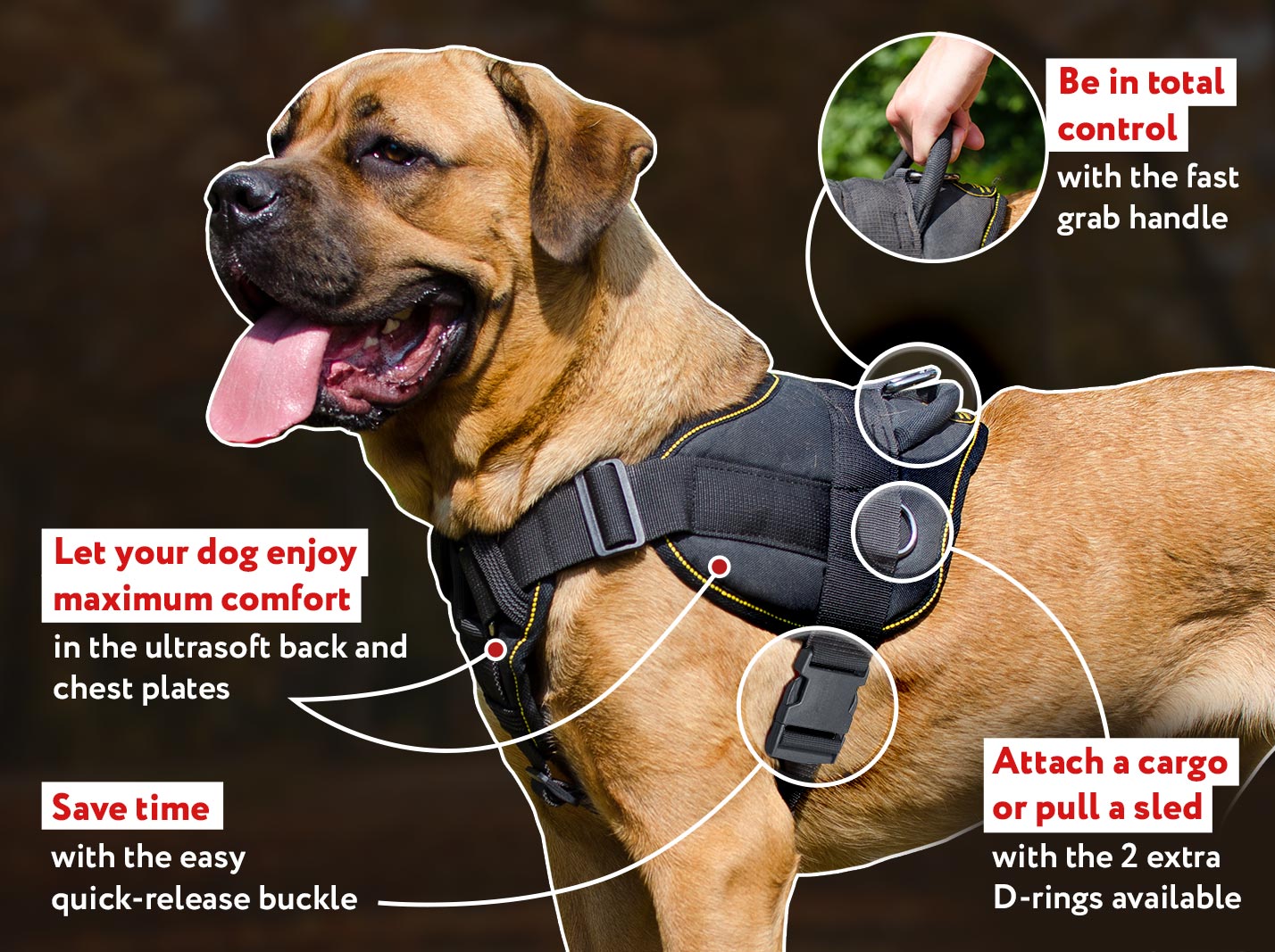 Golden Retriever Harness for Pulling, Walking and Training [H12###1092  Nylon Dog Harness with Chest Plate] : Custom dog harnesses for Pulling,  Training, Tracking, Walking