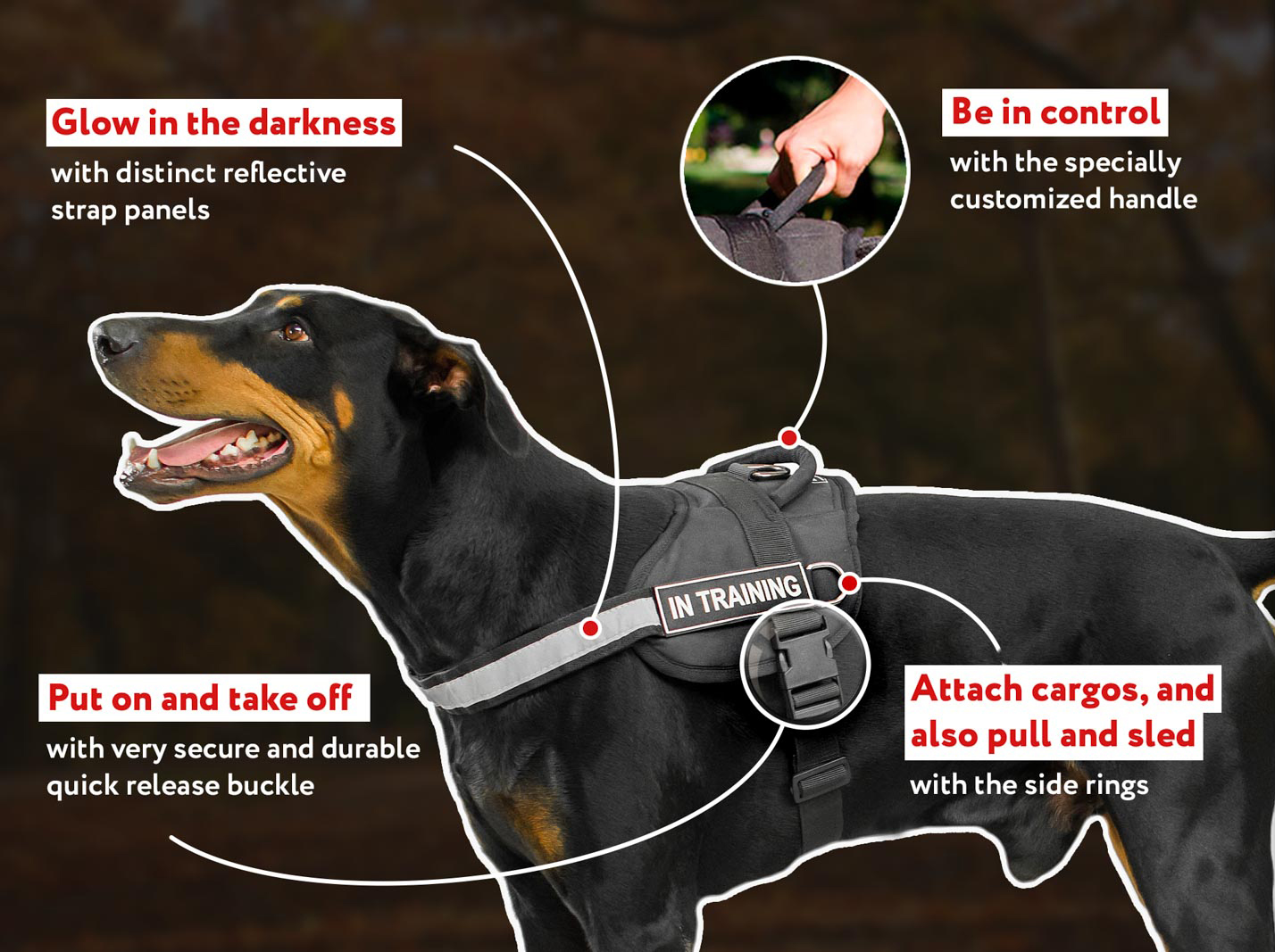 Boston Terrier Nylon Dog Harness for Tracking Pulling [H6P##1092