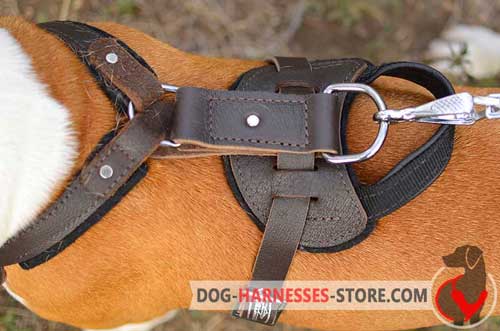 Classic Leather Dog Harness with Ring near Handle