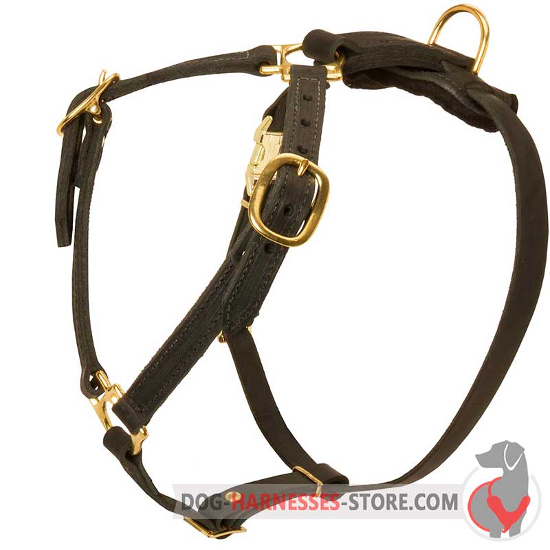 Labrador Exclusive Luxury Handcrafted Padded Leather Dog Harness [H10##1026  Exclusive Luxury Harrness] : Labrador dog harness, Labrador dog muzzle,  Labrador dog collar, Dog leash