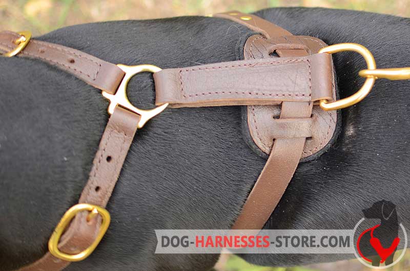 Exclusive Luxury Handcrafted Padded Leather Dog Harness [H10##1097  Exclusive Luxury Harrness] : Bite Sleeve,Intermediate Sleeves,Puppy Sleeves  ,Bite Sleeve Covers ,Hidden Sleeves,Ambidextrous Protection  Sleeve,COMPRESSION BITE SLEEVE, Schutzhund