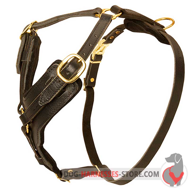 Leather Dog Harness For Puppies And Small Breeds - Walking Harness  [H2###1092 Small Tracking Harness] : Custom dog harnesses for Pulling,  Training, Tracking, Walking