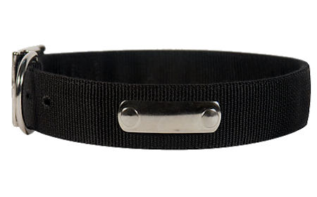 Nylon Personalized Dog Collar Name Luxury Designer Dog Collar for