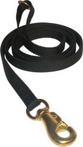 Have Tubular Nylon Waist Leads 6ft for all dogs