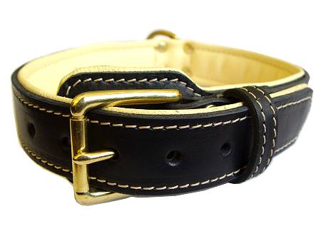 Alois got cool gift the Royal Nappa Padded Hand Made Leather Dog Collar -  Fashion Exclusive Design - code C43 [C43##1073 Leather dog collar Alois*] -  $76.99 : Best quality dog supplies