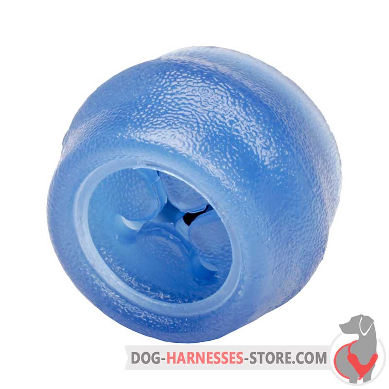 blue dog ball